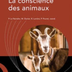 La conscience des animaux