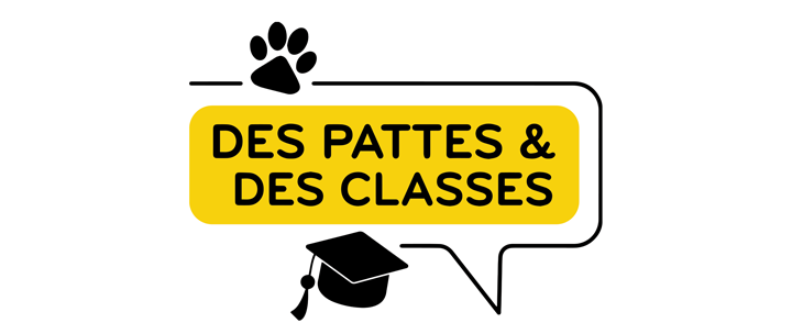 Des pattes et des classes