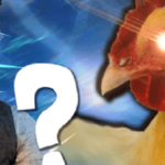 L'intelligence des poules