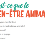 Le bien-être animal