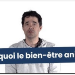 Qu'est-ce que le bien-être animal ?