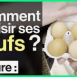 Le code des oeufs