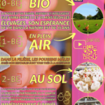 Affiche Code des oeufs