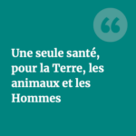 One Health ou Une seule santé, expliqué sur le site de l'INRAE