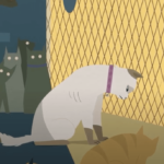 Identifiez-le, la meilleure façon de récupérer votre animal perdu ! Association Fadaa - Espagne