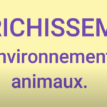 Playlistes Youtube sur le thème de l'enrichissement