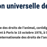 Déclaration universelle des droits de l’animal