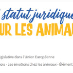 Droit des animaux