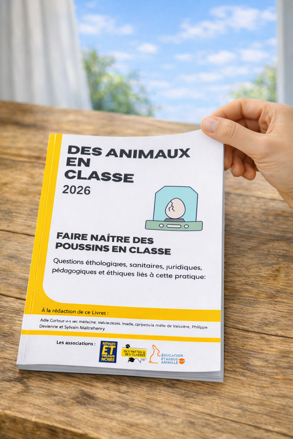 ChatGPT Image 28 janv. 2026 à 20_15_03 Faire éclore des poussins en classe : un projet vraiment éducatif ?